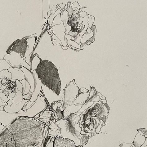 Sonal Nathwani on Instagram: "sunday sketchbook featuring roses, hydrangea, astrantia, cosmos, smokebush & scribbles 😊 swipe to see full spread in my fave A4 drawing book from @paper_republic . . . #drawingpractice #sketchbook #floralsketch #womenwhodraw #pencilonpaper #doitfortheprocess #carveouttimeforart #inspiredbynature #ihavethisthingwithflowers #underthefloralspell #gardenroses #inthegarden #sonalnathwani" Rose Bush Drawing, Hydrangea Sketch, Hydrangea Drawing, Paper Republic, Sonal Nathwani, Bush Drawing, Blue Castle, Drawing Book, Roses Drawing