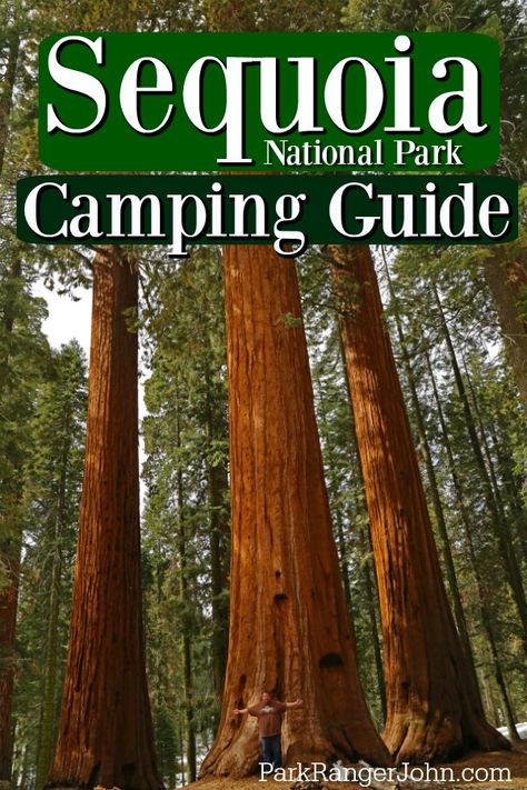 Sequoia Car Camping, Sequoia National Park Itinerary, Things To Do While Camping, Camping Sequoia National Park, Sequoia National Park Hotels, Sequoia Camping, General Sherman Tree Sequoia National Park, Sequoia National Park Camping, Biscayne National Park