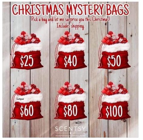 Scentsy Christmas Mystery Bags, Scentsy Mystery Bag Ideas Christmas, Christmas Scentsy Gift Ideas, Scentsy Christmas Gift Ideas, Christmas Mystery Bags, Scentsy Sample Ideas, Scentsy Banner, Scentsy Christmas, Mystery Bags