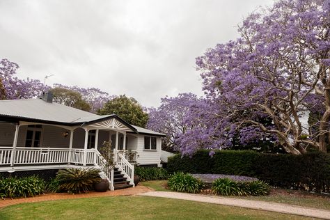 Kate and Keith's Rosewood Estate Wedding » Cloud Catcher | Gold Coast Wedding Photography Rosewood Estate, Jacaranda Tree, Sparkle Outfit, Wedding Day Timeline, Urban Wedding, Coastal Wedding, Pretty Party, Coast Wedding, Happy Fun