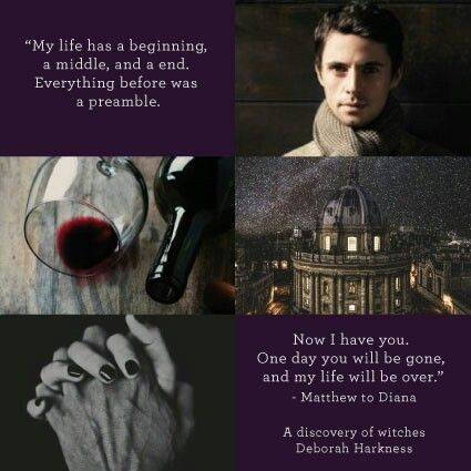 Matthew Clermont quote - A discovery of witches  Deborah Harkness A Discovery Of Witches Quotes, A Discovery Of Witches Aesthetic, Discovery Of Witches Aesthetic, Witches Quotes, Witches Aesthetic, Matthew William Goode, Witch Tv Series, Soul Saga, Magic Realms