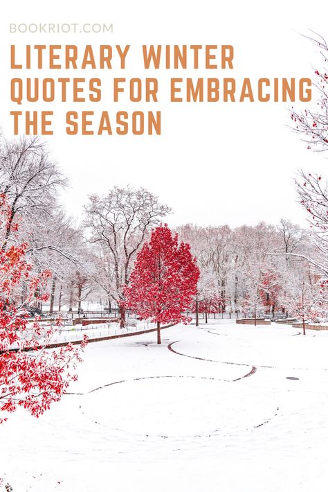 Great quotes about winter to help you embrace the season. winter quotes | quotes about winter | quote lists Quotes About Red, Quotes By Writers, Quotes About Winter, Quotes From Childrens Books, Quotes From Movies, Winter Quote, Snow Quotes, Red Quotes, Dark Tree