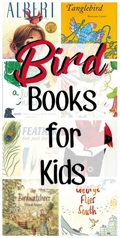 Preschool Lessons About Birds, Birds Lesson Plans For Toddlers, Bird Unit Study Preschool, Bird Unit Study Elementary, Books About Birds For Preschool, Birds Preschool, Preschool Birds, Birds Eating, Books About Birds