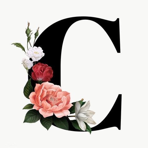 C Design Letter, C Letter Design, C Letter, The Letter C, C Design, Letter Design, Letter C, Transparent Png, Alphabet