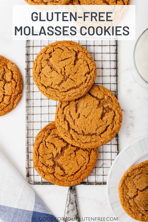 Gluten Free Molasses Cookies, Flourless Baking, Chewy Molasses Cookies, Celiac Recipes, Gluten Free Christmas Cookies, German Cookies, Holidays 2023, Cookies Gluten Free, Ginger Molasses Cookies