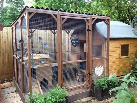 Bunny Enclosure Ideas, Bunny Enclosure, Bunny Sheds, Rabbit Shed, Rabbit Pen, Rabbit Enclosure, Playhouse Ideas, Childrens Playhouse, Enclosure Ideas