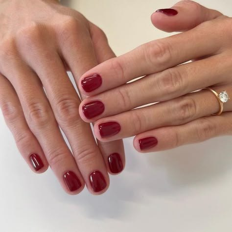 Amy Burvill 🤍 on Instagram: "The perfect Autumn red ❣️ Using @biosculpturegelgb No. 280 A Night at the Opera Prepped using @officialnavyprofessional Skin scrubbed using @andotherstories Hydrated using @elim_uk @soldejaneiro #biosculpturegel #biosculpture #biosculpturenails #biosculpturegelgb #anightattheopera #rednails #autumnnails #shortnails #naturalnails #healthynails #squovalnails #nailcare #handcare #skincare #manicure #luxurymanicure #winternails #autumnmanicure #wintermanicure #class Natural Nails Winter, Night At The Opera, A Night At The Opera, Hello Nails, Nails Winter, Casual Nails, Minimalist Nails, The Opera, Dream Nails