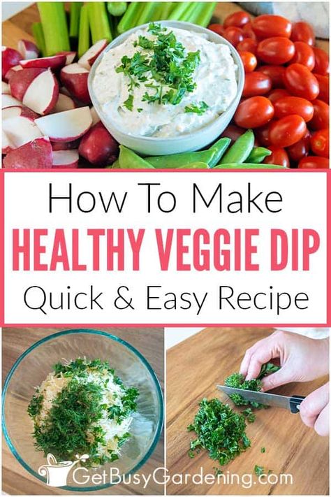 Healthy Vegetable Dip, Homemade Veggie Dip, Healthy Veggie Dip, Veggie Dip Recipe, Healthy Dip Recipes, Healthy Dip, Veggie Straws, Low Calorie Vegetables, Vegetable Dips