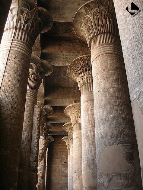 Esna, temple de Khnoum (époque romaine) Sciences infusent / Égypte Egyptian Columns, Ancient Egypt Aesthetic, Crest Tattoo, Ancient Egyptian Architecture, Egypt Aesthetic, Ancient Egyptian Artifacts, Egyptian Artifacts, Egypt History, Museum Displays