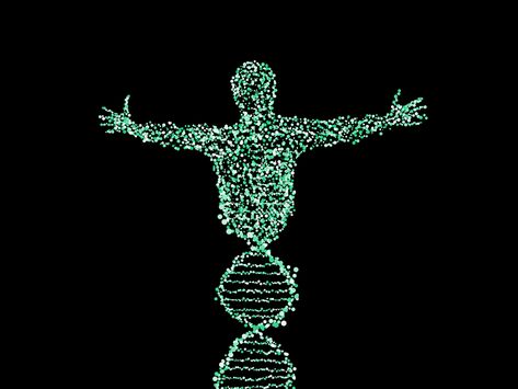 X Chromosome, Human Genome, Gene Therapy, Genetic Mutation, Gene Expression, Dna Test, The Human Body, Stem Cells, Neuroscience