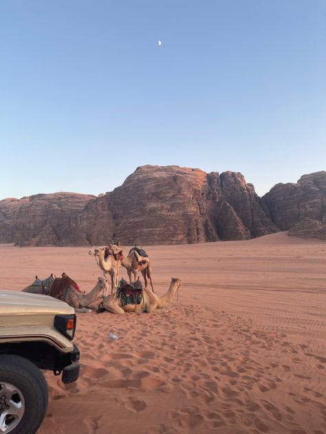 Wadi Rum Aesthetic, Jordan Middle East Aesthetic, Jordan Travel Aesthetic, Amman Jordan Aesthetic, Jordanian Aesthetic, Jordan Aesthetic Country, Amman Aesthetic, وادي رم, Bedouin Tent