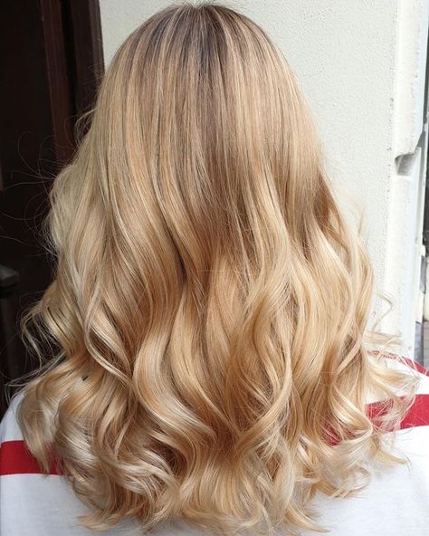 Champagne Blonde Hair, Golden Blonde Hair Color, Warm Blonde Hair, Hair Blond, Golden Blonde Hair, Champagne Blonde, Light Blonde Hair, Spring Hair Color, Honey Blonde Hair