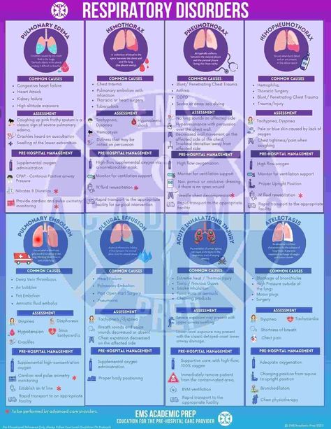 Pathophysiology Nursing Study Guides Respiratory, Emt Respiratory Emergencies, Respiratory Medications Cheat Sheets, Mechanical Ventilation Respiratory, Respiratory Medications, Respiratory Therapy Student, Respiratory Disorders, Nursing School Essential, Nursing Study Guide