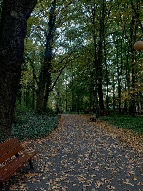 Walking, running, living Going On A Walk Aesthetic, Autumn Town, Walking Road, Calming Photos, October Aesthetic, Fall Walk, 27 Club, Park Aesthetic, Harry Styles Poster