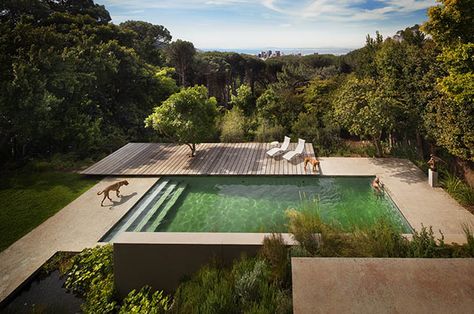 Natural Pools 2 Moderne Pools, Green Pool, Modern Outdoor Spaces, Modern Outdoor Patio, Outdoor Patio Designs, Natural Swimming Pools, Natural Swimming Pool, Modern Pools, Casa Exterior