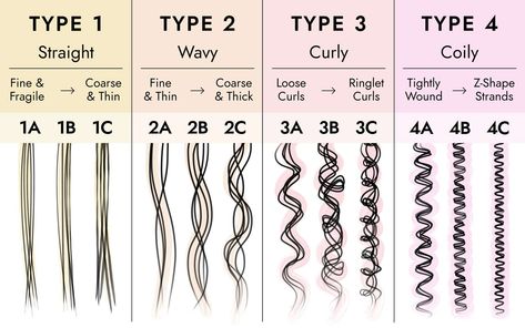 Hair Type Chart, Curly Hair Growth, Type Chart, Esthetician School, Hair Test, Best Hair Dryer, Haircut Types, Curly Hair Types, Hair Textures