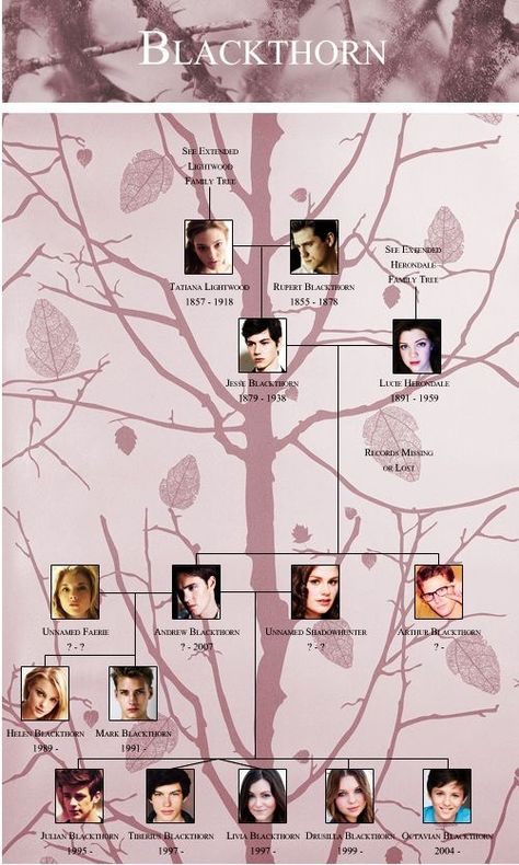 Shadowhunters Family Tree, Shadowhunter Academy, Cassandra Jean, Shadowhunters Series, Clary And Jace, Shadowhunters Tv Show, Cassie Clare, Clockwork Angel, Cassandra Clare Books