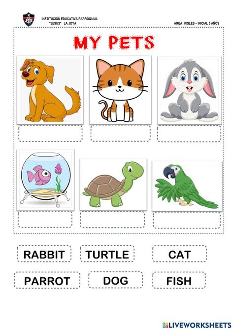 Pets For Preschoolers Activities, Preschool Pets Activities, My Pets Worksheets For Kids, Pet Animals Worksheets For Kids, Pets Worksheets Preschool, Pet Animals Worksheet, Animal Worksheets Preschool, Pets Activities For Kids, Pets Worksheet