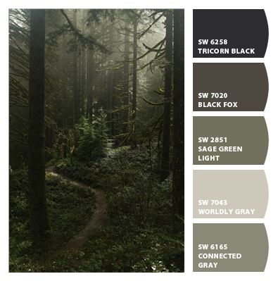 Paint colors from ColorSnap by Sherwin-Williams Forest Core Color Palette, Rainy Forest Color Palette, Moody Pallete Color, Foggy Color Palette, Woodsy Color Scheme, Misty Forest Color Palette, Nature Inspired Paint Palettes, Dark Cottagecore Paint Colors, Dark Cottage Core Color Palette