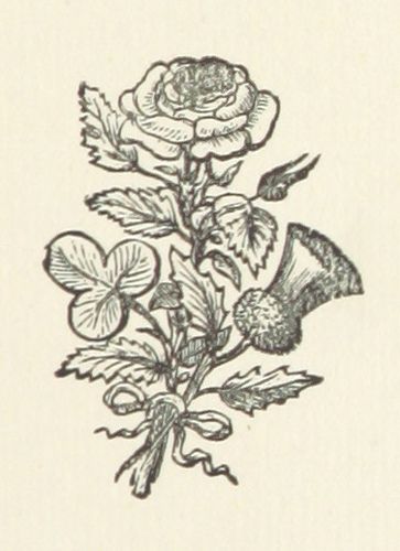 Image taken from page 289 of 'Rose, Shamrock, and Thistle. A story of two Border towers' | by The British Library Rose Thistle Shamrock Tattoo, Shamrock And Thistle Tattoo, Tattoo October, Welsh Tattoo, Scottish Genealogy, Body Expressions, Shamrock Art, Thistle Tattoo, Scottish Flowers