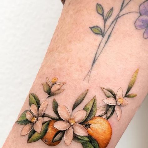 Florida Orange Blossom Tattoo, Calamansi Tattoo, Orange Blossom Tattoo Simple, Florida Orange Tattoo, Apricot Tattoo, Oranges Tattoo, Lobster Tattoos, Orange Flower Tattoo, Tangerine Tattoo