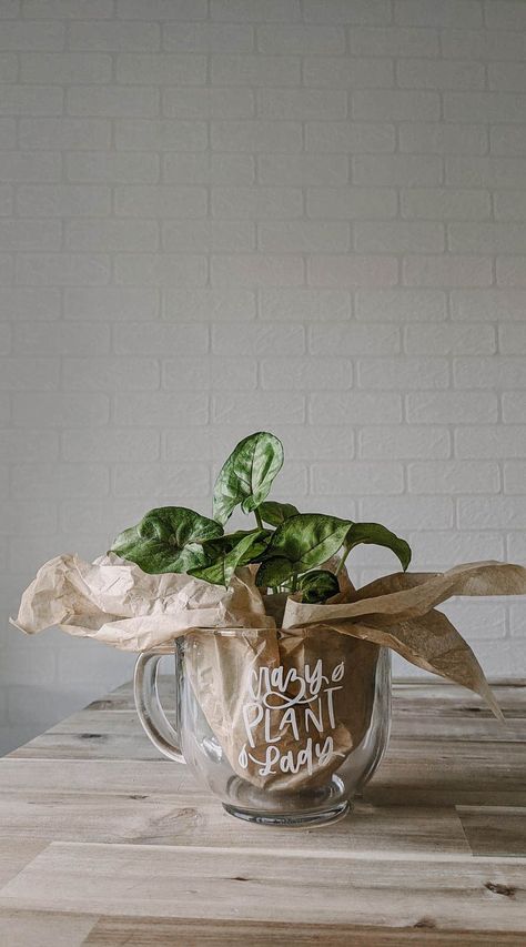 Great gift idea for a plant lover! Cheeky plant mugs with a tiny plant inside! Free downloadable templates... #GiftIdeas #DIYGifts #PlantMugs Diy Gifts For Plant Lovers, Plant Selling Ideas, Plant Gift Wrapping Ideas, Plants In Mugs, Mothers Day Plant Gifts, Plant Gift Ideas Diy, Plant Mugs, Plant As A Gift, Creative Diy Christmas Gifts