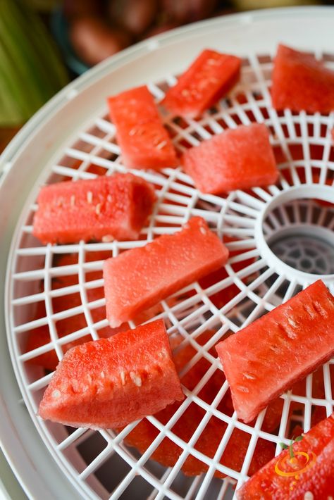 How to Make Watermelon Candy Watermelon Rind Candy Recipe, Watermelon Alcohol, Dehydrated Watermelon, Watermelon Recipes Drinks, Watermelon Rind Recipes, Candied Fruit Recipes, Watermelon Recipe, Watermelon Pickles, Watermelon Candy