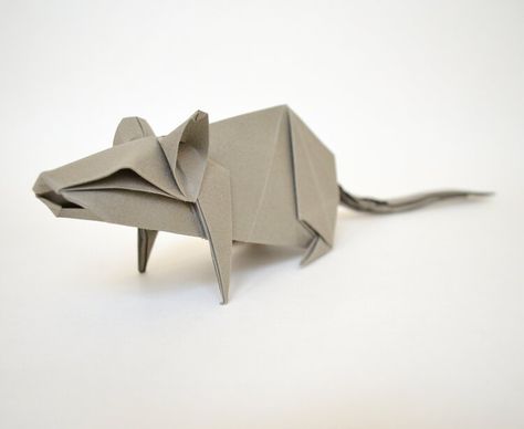 Origami Mouse Easy, Rat Activity, Origami Rat, Rat Wire Art, Rat Figurine, Flowers For Algernon, A Rat, How To Make Origami, Year Of The Rat