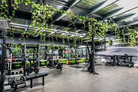 15 Best Plants for Gym | Houseplants for Home Gym Gym Plants Interior, Gym With Greenery, Holistic Gym Design, Zen Gym Design, Home Gym With Plants, Unique Gym Design, Gym With Plants, Greenhouse Gym, Outdoor Gym Design