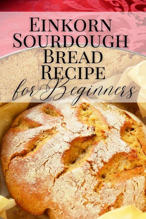 Einkorn Sourdough Bread, Healthy Bread Recipe, Sourdough Bread Machine, Einkorn Sourdough, Einkorn Bread, Easy Sourdough Bread Recipe, Fancy Kitchen, Einkorn Recipes, Einkorn Flour