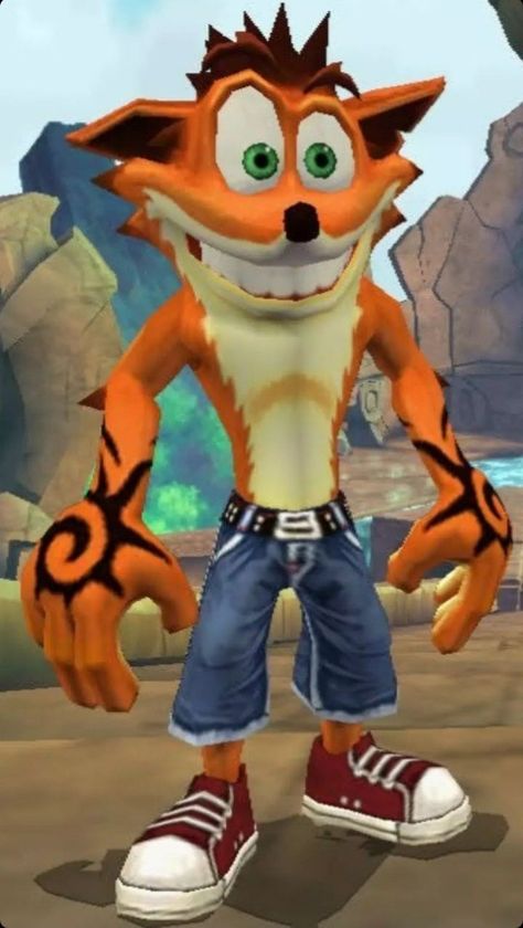 Crash Bandicoot Art, Crash Of The Titans, Crash Bandicoot Tattoo, Crash Bandicoot Characters, Crash Team Racing, Pet Raccoon, Afro Samurai, Neon Aesthetic, Crash Bandicoot