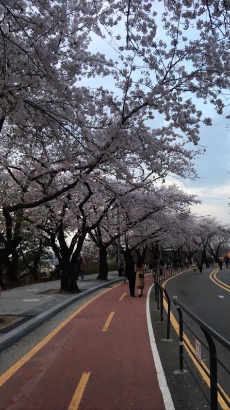 Korean Road Aesthetic, Korean Aesthetic Lockscreen, South Korean Aesthetic Wallpaper, Korean City Aesthetic Wallpaper, Korean Asthetics Wallpaper, Korean Astethic Wallpaper, Korean Streets Aesthetic, Korean Road, Korean Study Motivation