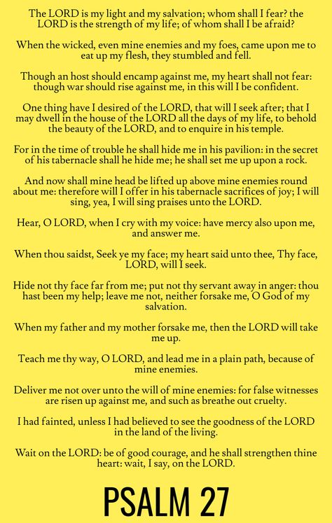 The LORD is my light and my salvation; whom shall I fear? the LORD is the strength of my life; of whom shall I be afraid? When the wicked, even mine enemies and my foes, came upon me to eat up my flesh, they stumbled and fell. Though an host should encamp against me, my heart shall not fear: though war should rise against me, in this will I be confident… Psalm 27 (KJV) Pray Board, Psalms 27, Whom Shall I Fear, The Lord Is My Light, Psalm Scriptures, Fear The Lord, Bible Psalms, Lord Of Hosts, Psalm 27