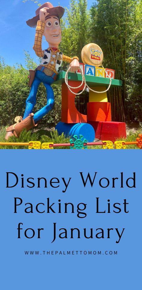 Disney Outfits In January, Orlando In January Outfit, Orlando January Outfits, Disney Christmas Packing List, Disney January Outfit, Disney Outfits Women January, Orlando In January, Disney World In January Outfits, Disney World January Outfits