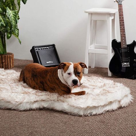 In Exciting Home News, Alicia Keys Curated Some Extremely Stylish Items on Amazon Room Blueprint, Fux Fur Rug, Faux Rabbit Fur Rug, Faux Bearskin Rug, Faux Fur Rug Dog Bed, Bed For Cats, Faux Fur Bedding, Waterproof Dog Bed, Fur Bedding