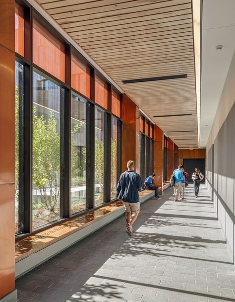 Classroom Architecture, Educational Architecture, Corridor Design, Sustainable Landscaping, School Interior, University Of Connecticut, Education Architecture, Education Design, School Building