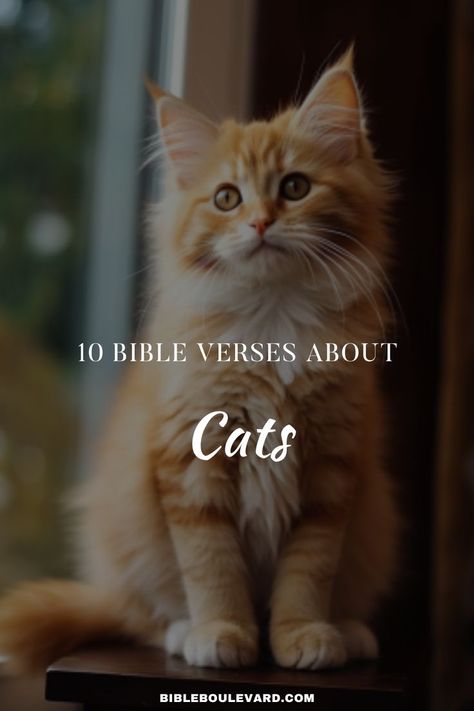 10 Bible Verses About Cats Animal Bible Verse, Study Notebook, Best Bible Verses, Bible Says, Bible Study Notebook, Verses Wallpaper, Christian Bible Verses, Bible Verse Wallpaper, About Cats