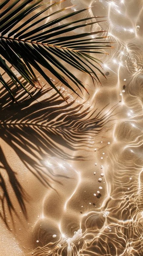 Tropical beach sunlight reflections | free image by rawpixel.com / Nunny Neutral Tropical Aesthetic, Tropical Night Aesthetic, Beige And Orange Aesthetic, Luxury Beach Aesthetic, Beach Background Wallpapers, Tropical Aesthetic Background, Wellness Wallpaper, Sunrise Tropical, Tropical Pictures