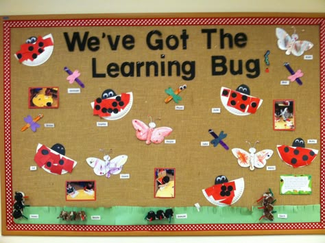 Bugs bulletin board Insects Bulletin Board Preschool, Creepy Crawlies Bulletin Board, Bugs Bulletin Board Ideas, Bug Bulletin Board Ideas Preschool, Insects Bulletin Board Ideas, Insect Bulletin Board Ideas Preschool, Bug Classroom Theme Decor, Insect Bulletin Board Ideas, Bugs Classroom Decor