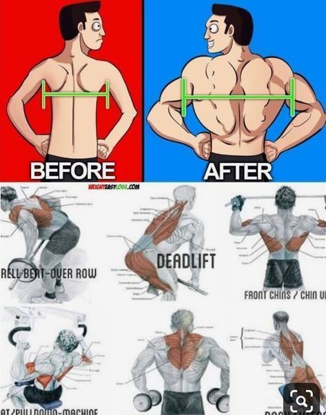 Gym Workout Guide, Trening Sztuk Walki, Gym Workout Planner, Gym Antrenmanları, Bodybuilding Workout Plan, Gym Workout Chart, Gym Workouts For Men, Abs Workout Gym, Abs And Cardio Workout