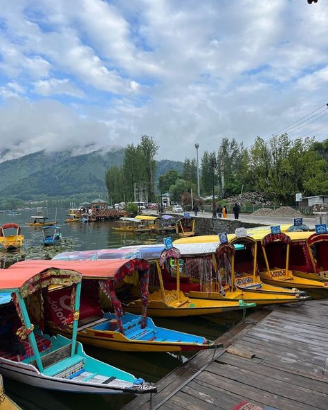 Dal Lake, Srinagar Kashmir Dal Lake Kashmir Photography, Dal Lake Kashmir, Srinagar Kashmir, Dal Lake, Aesthetic Places, Views Video, Insta Profile, Insta Profile Pic, Srinagar