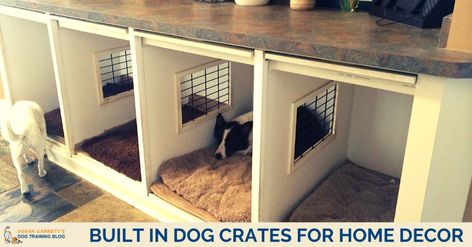 By popular request, I'm sharing a video showing how my dog crates are built in as furnishing in my home. Build Around Dog Crate, Dog Crate Built Into Wall, Built In Large Dog Crate, Built In Crates For Dogs, Sliding Door Dog Crate, Double Dog Crate, Dog Den, Dog Kennel Designs, Diy Dog Crate