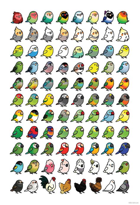 Parrot Drawing, Parrots Art, Cute Animal Drawings Kawaii, Cute Doodles Drawings, Kawaii Doodles, Dessin Adorable, Cute Easy Drawings, Bird Drawings, Cute Little Drawings