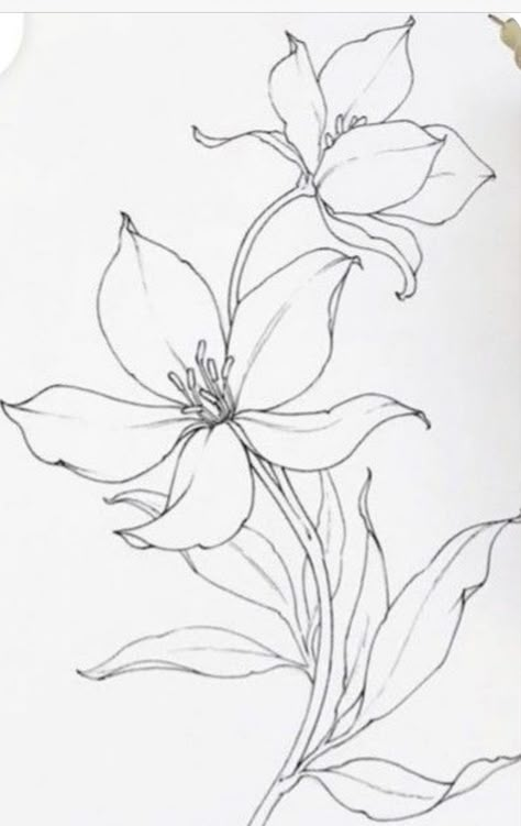 Large Flower Drawings, Flower Outline For Painting, Fabric Painting Sketches, Beautiful Flowers Drawing Sketches, Flora Drawings, Floral Line Drawing, Floral Line Art, Adults Coloring, Flower Line Drawings