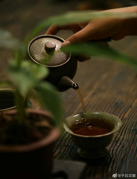 Chinese Tea Room, Tea Japan, Healthy Milk, Asian Tea, Chinese Aesthetic, Increase Energy, Tea Culture, Japanese Tea Ceremony, Japan Aesthetic