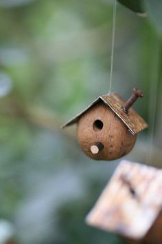 Gumnut Craft, Walnut House, Walnut Shell Crafts, Walnut Art, Acorn Crafts, Fairy Garden Crafts, Fairy Furniture, Deco Nature, Fairy Crafts