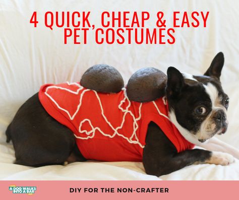 Easy Pet Costumes, Pet Costume Ideas, Diy Pet Costumes, Cute Dog Halloween Costumes, Banana Costume, Diy Dog Costumes, Cheap Dogs, Easy Costumes, National Dress