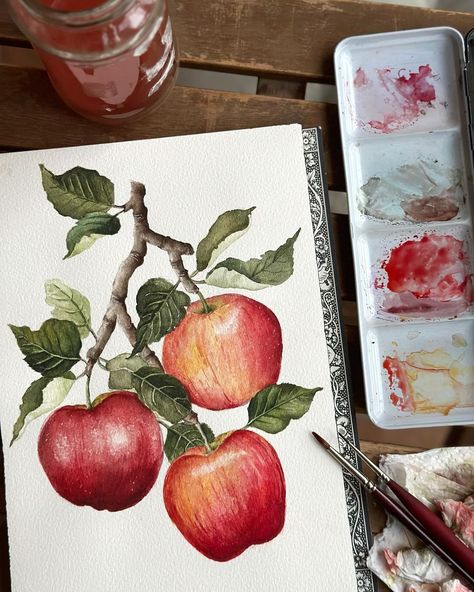 Saloni | Watercolor and Guache Artist | Watercolour botanical illustration of apples 🍎 🍎🍎 Quite chuffed with how this final painting has turned out. As much as I love gouache, I … | Instagram What Should I Paint, My Forever Love, Watercolour Botanical, Apple Painting, Watercolor Painting Techniques, Fruit Painting, Botanical Painting, Botanical Watercolor, Artist On Instagram