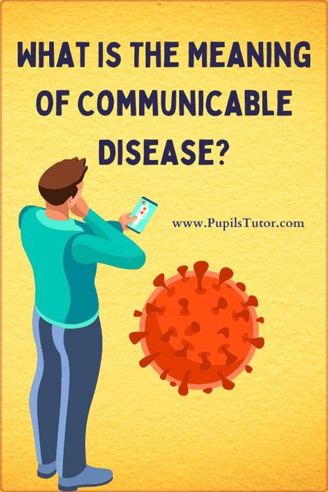 What Is The Meaning Of Communicable Disease?  - Health and Physical Education - Notes And Study Material in English Medium for B.Ed First Year, Second Year, 1st 2nd 3rd 4th 5th 6th Semester Free Download PDF,PPT, Assignment , File - pupilstutor.com Study Exam, Exam Notes, Communicable Diseases Notes, Communicable Diseases, Non Communicable Disease, Prediabetic Diet, Infectious Diseases, Values Education, Health And Physical Education