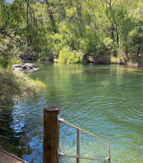 Perth is OK! on Instagram: "The iconic Honeymoon Pool isn't the only lush swimming hole found in the Wellington National Park! Long Pool is located on the Collie River and offers a calm, tranquil spot for scenic swimming, canoeing and kayaking. There is a small picnic area close to the river with steps down into the water.  This is the lesser-known of four glorious pools around Collie. So, if you are looking for a spot away from the crowds, this could be the ticket!  Photos by @fiona_meads @t Long Pool, Small Picnic, Swimming Hole, Into The Water, Forest Painting, Swimming Holes, Canoeing, Forest Fairy, Picnic Area